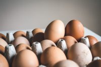 Is 30 gram eiwit per maaltijd echt je maximum?